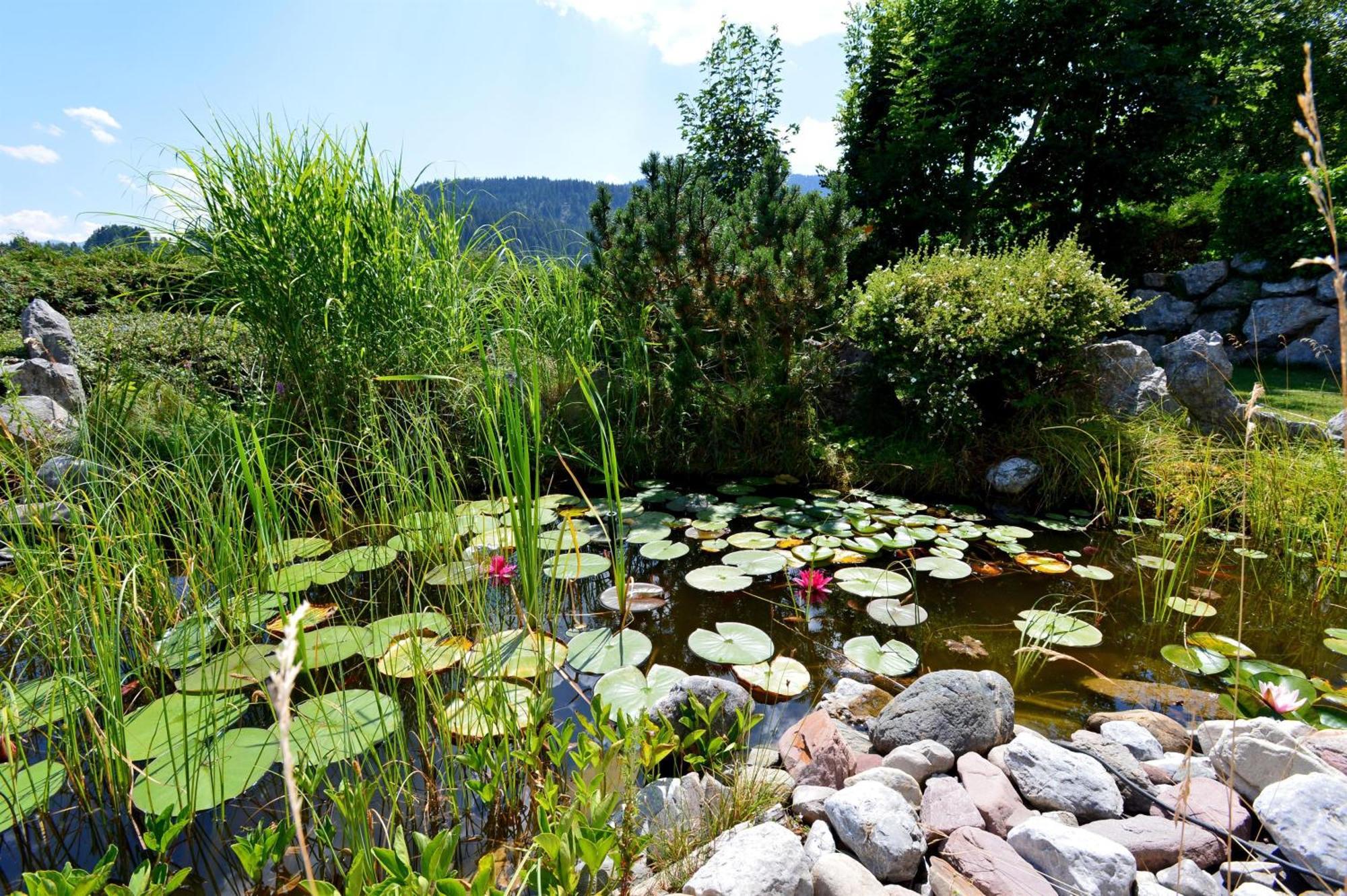 Adelsbergers Bergland Hotel Going am Wilden Kaiser Ngoại thất bức ảnh